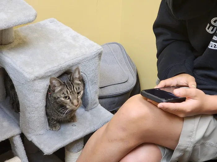 Loyal Companion Animal Care Picture 9