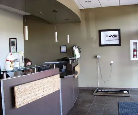 Loyal Companion Animal Care