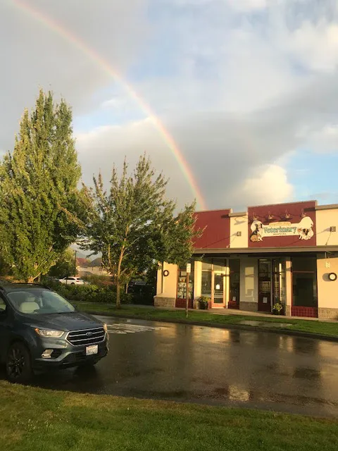 Snoqualmie Ridge Veterinary Hospital Picture 2