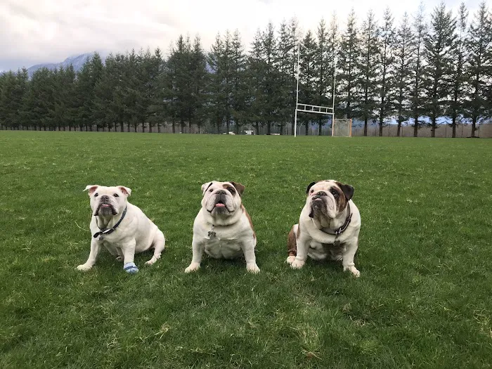 Salish Veterinary Hospital Picture 5