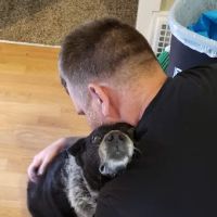 Algona Animal Hospital ico