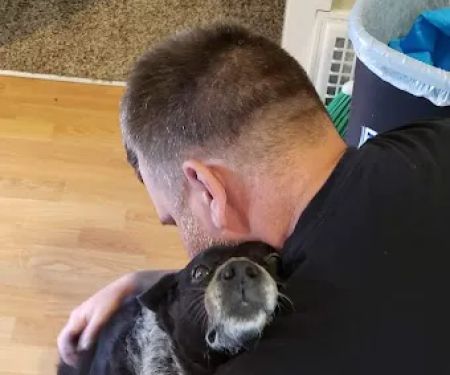 Algona Animal Hospital
