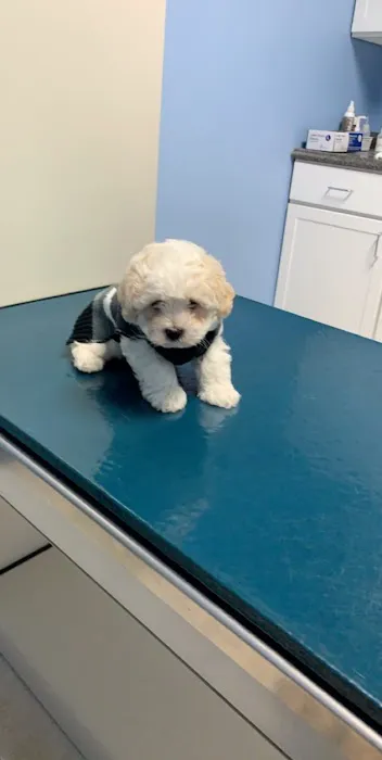 Algona Animal Hospital Picture 4