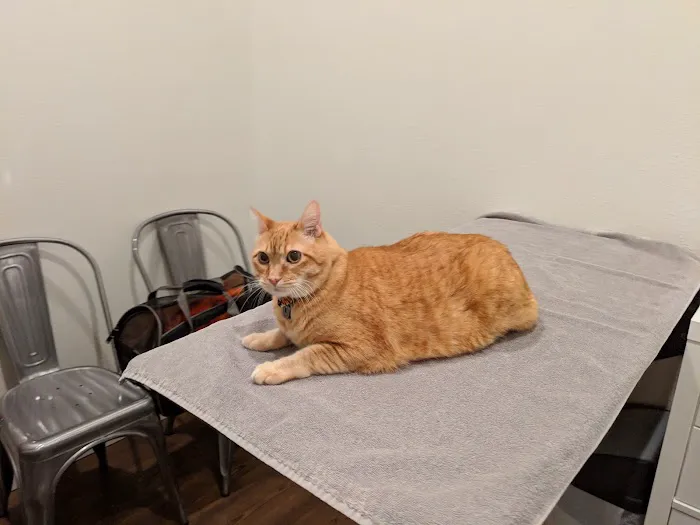 Lakeland Veterinary Hospital Picture 6