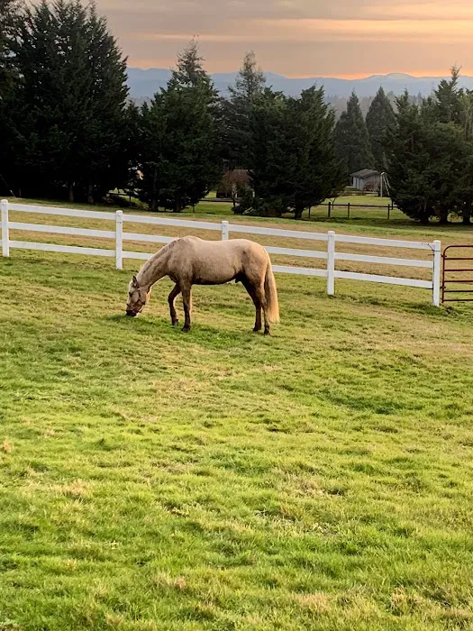 Cedar Springs Equine Veterinary Services Picture 4
