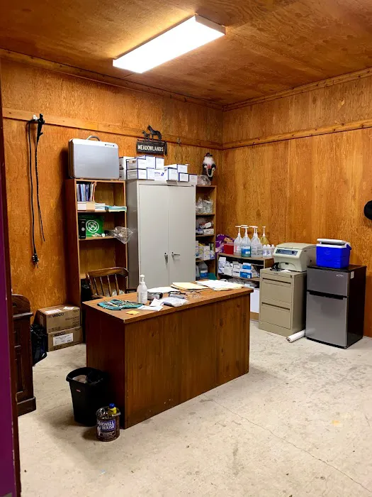 Cedar Springs Equine Veterinary Services Picture 3