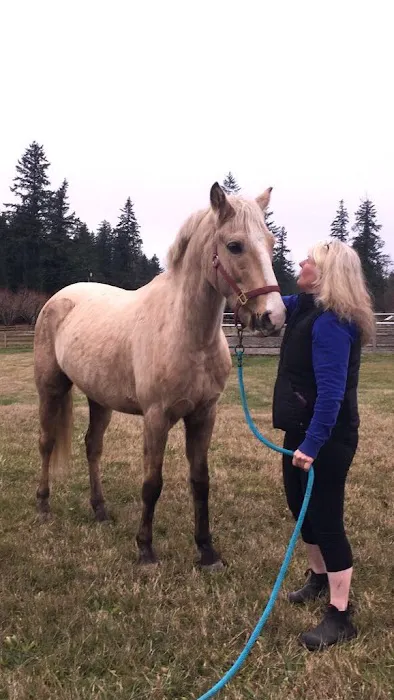 Cedar Springs Equine Veterinary Services Picture 2