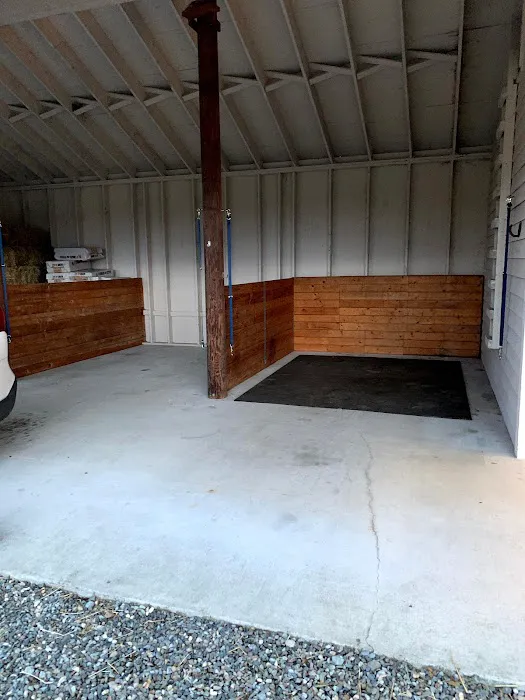 Cedar Springs Equine Veterinary Services Picture 1
