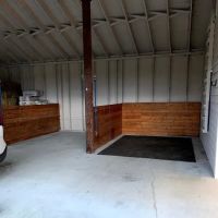 Cedar Springs Equine Veterinary Services ico