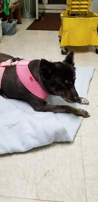 Country Animal Hospital Picture 7