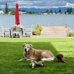 Edgewood Veterinary Clinic