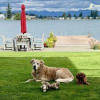 Edgewood Veterinary Clinic ico