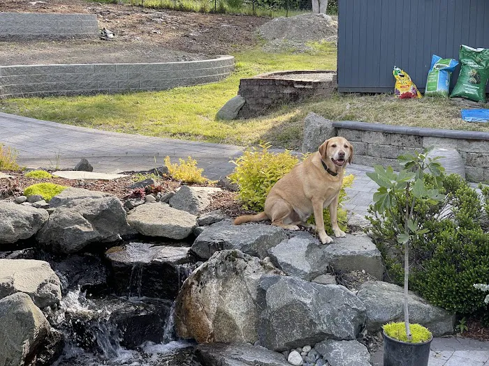 Edgewood Veterinary Clinic Picture 9