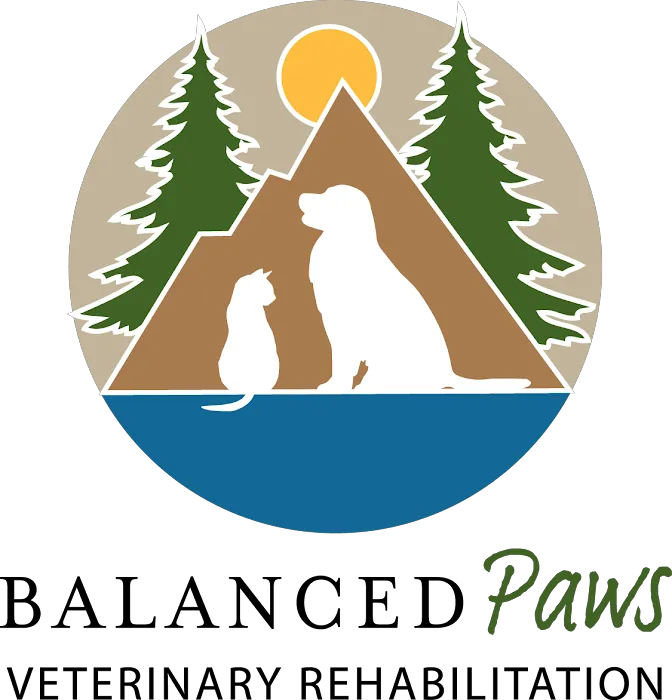 Balanced Paws Veterinary Rehabilitation Picture 10