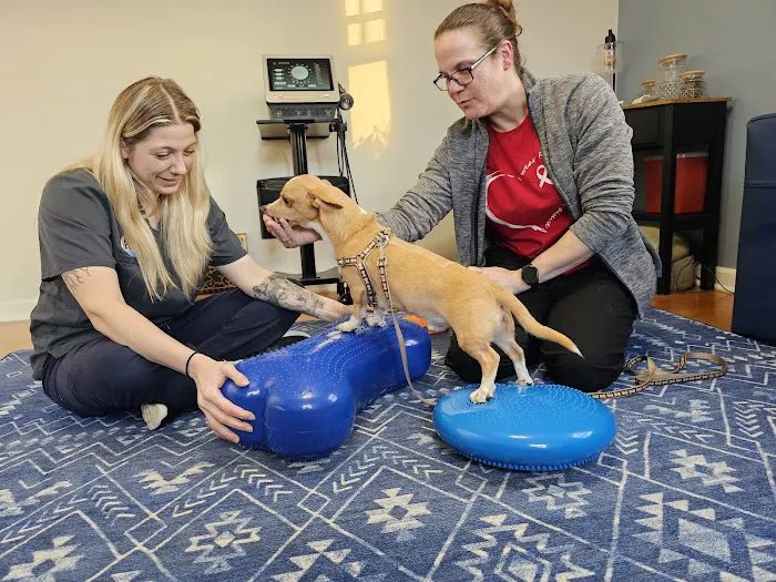 Balanced Paws Veterinary Rehabilitation Picture 3