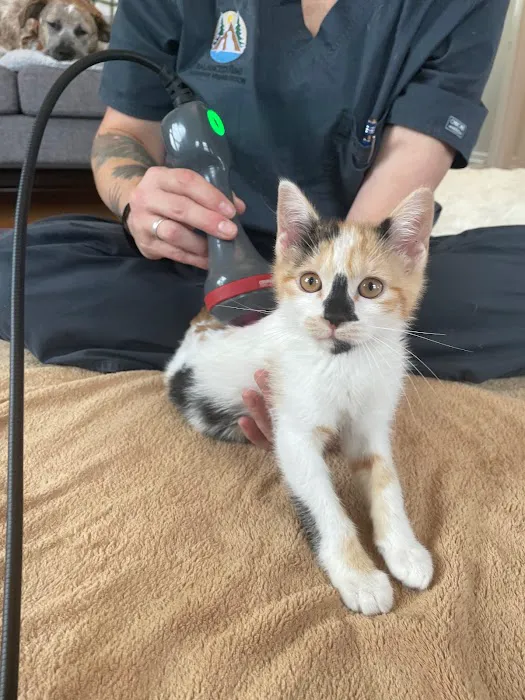 Balanced Paws Veterinary Rehabilitation Picture 7