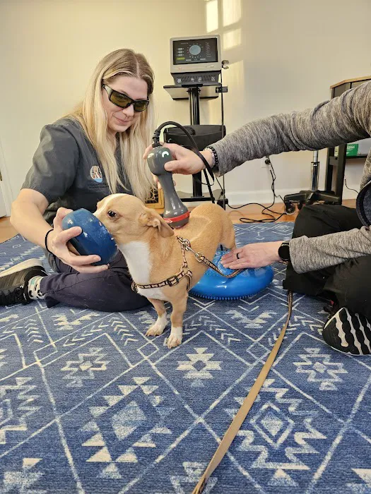 Balanced Paws Veterinary Rehabilitation Picture 1