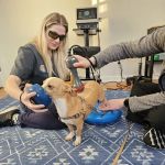 Balanced Paws Veterinary Rehabilitation