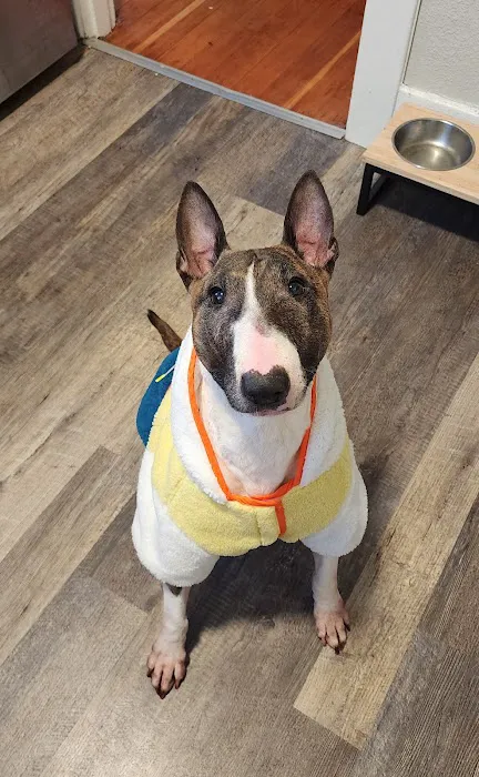 Metropolitan Veterinary Hospital Picture 6