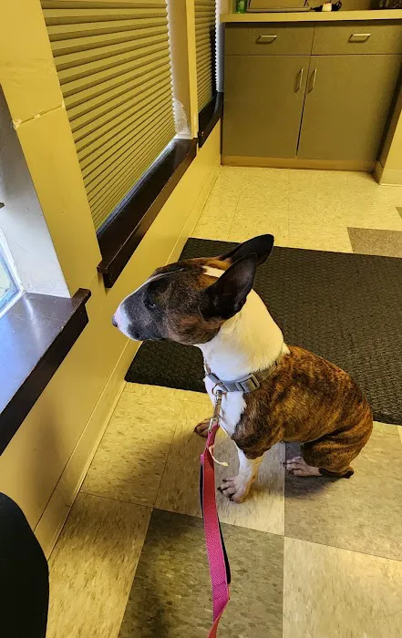 Metropolitan Veterinary Hospital Picture 7
