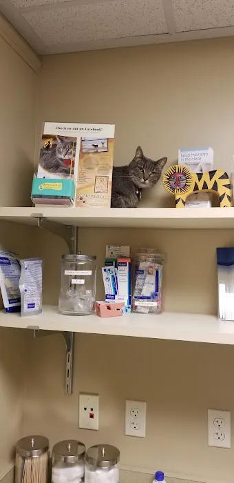 Metropolitan Veterinary Hospital Picture 2