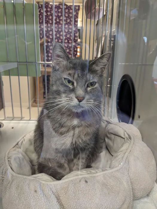 Metropolitan Veterinary Hospital Picture 9