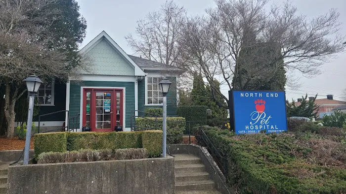North End Pet Hospital Picture 2