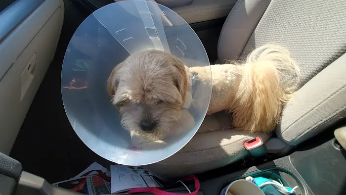 North End Pet Hospital Picture 8