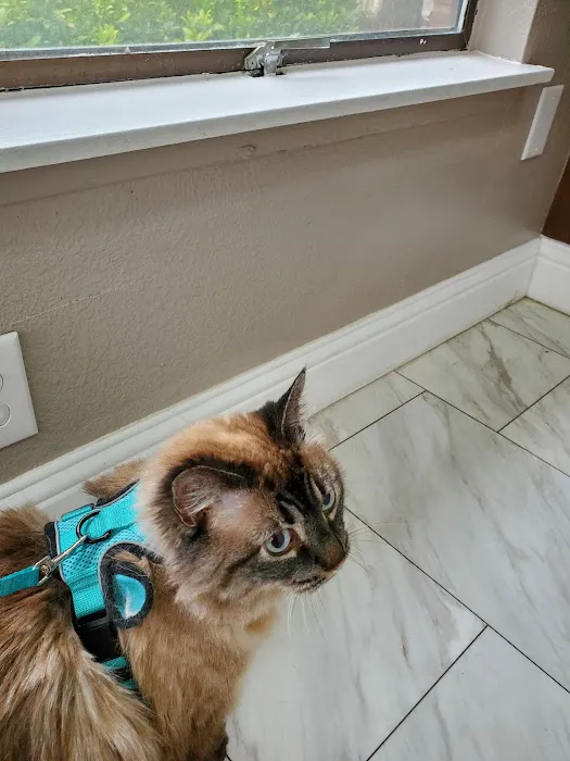 Affordable Animal Hospital Picture 1