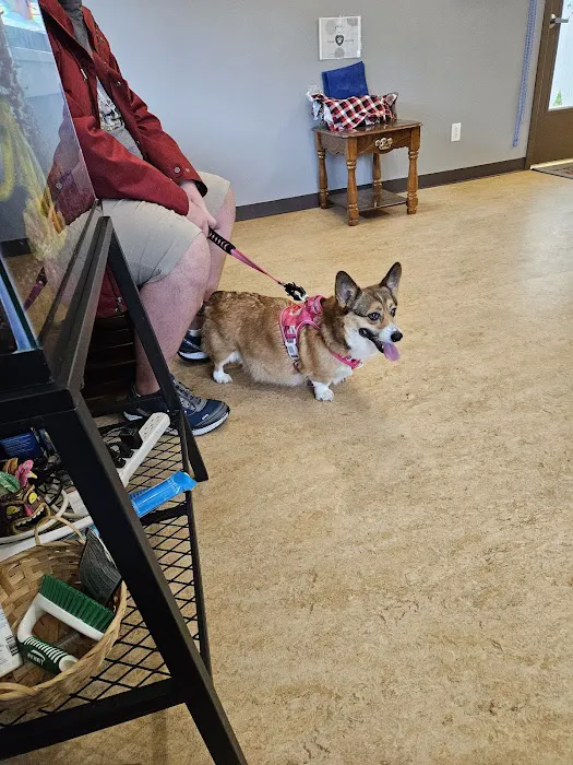 Commencement Bay Animal Hospital Picture 2