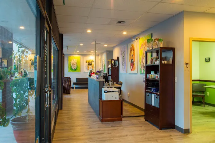 Soundview Veterinary Hospital Picture 6