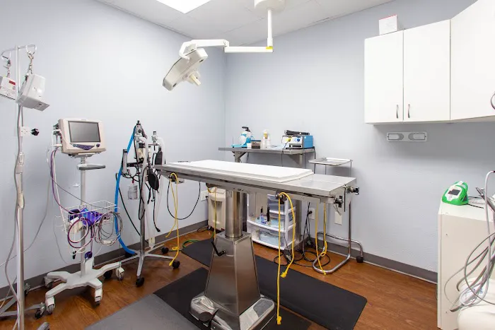 Soundview Veterinary Hospital Picture 7