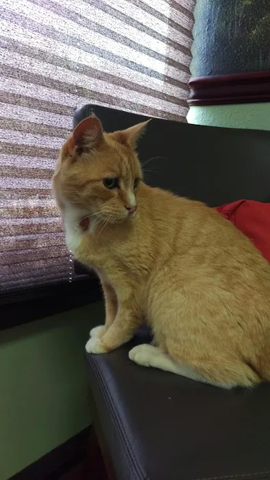 Soundview Veterinary Hospital Picture 8