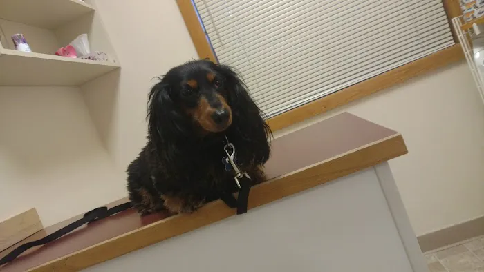 Westgate Animal Hospital Picture 4