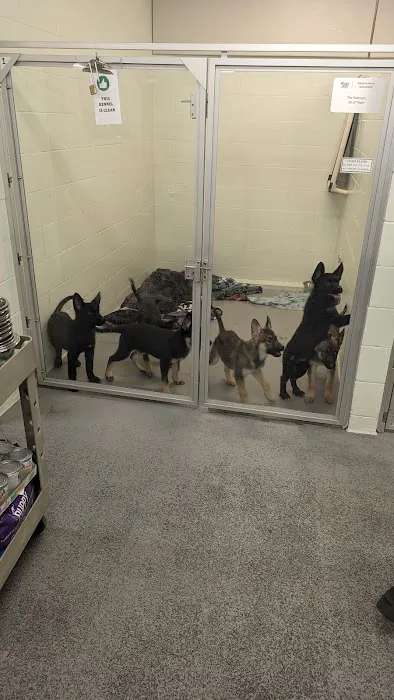 William Gazecki Animal Shelter Picture 5