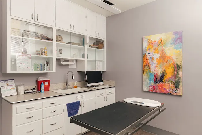 Union Avenue Veterinary Hospital Picture 1