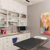 Union Avenue Veterinary Hospital ico