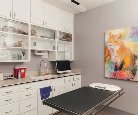 Union Avenue Veterinary Hospital