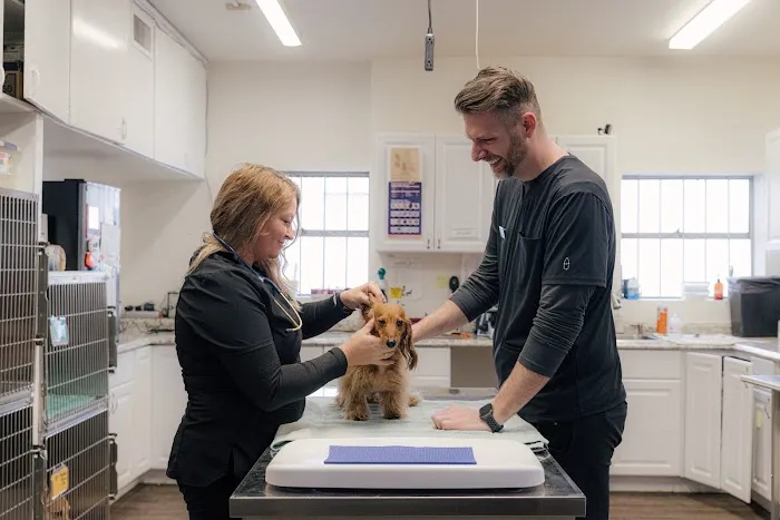 Union Avenue Veterinary Hospital Picture 9