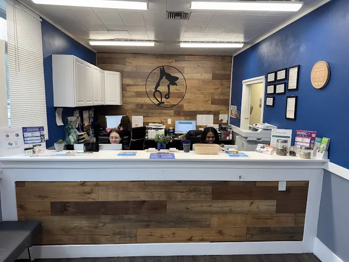 Union Avenue Veterinary Hospital Picture 8