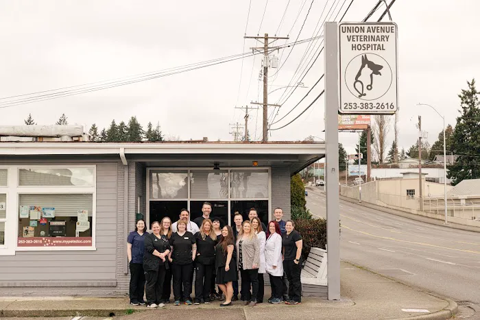 Union Avenue Veterinary Hospital Picture 7