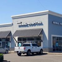 Tacoma Animal Hospital ico