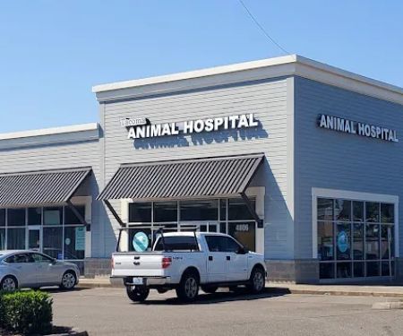 Tacoma Animal Hospital
