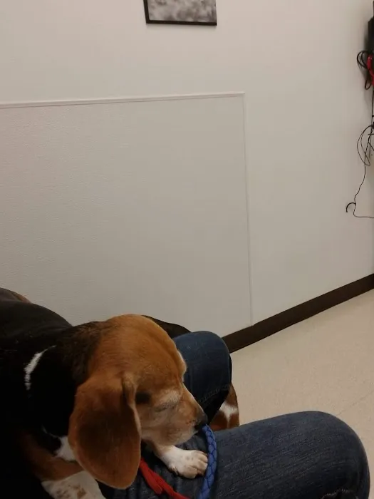 Tacoma Animal Hospital Picture 3