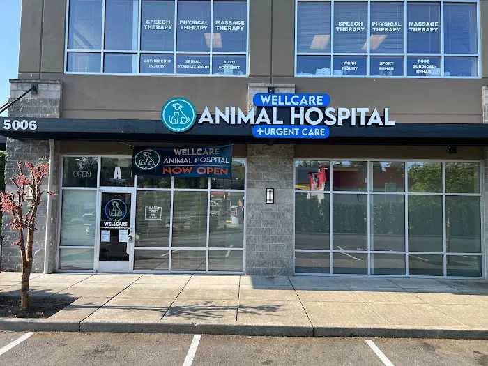 WellCare Animal Hospital +Urgent Care Picture 5