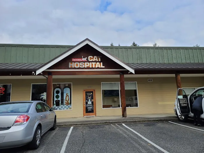 Tacoma Cat Hospital Picture 1