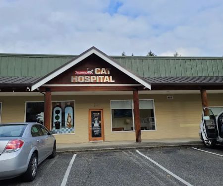Tacoma Cat Hospital