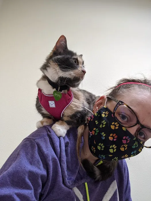 Tacoma Cat Hospital Picture 3