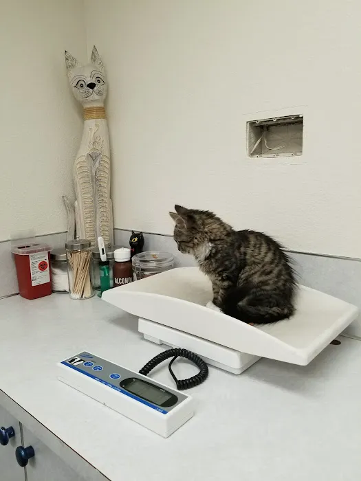 Avenue Veterinary Clinic Picture 4