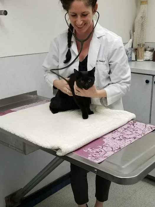 Avenue Veterinary Clinic Picture 10